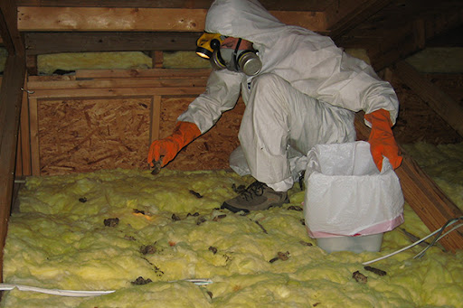 Attic-Cleaning-Disinfecting