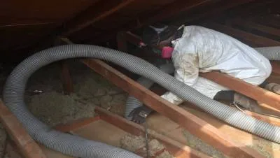 attic-cleaning-and-disinfecting