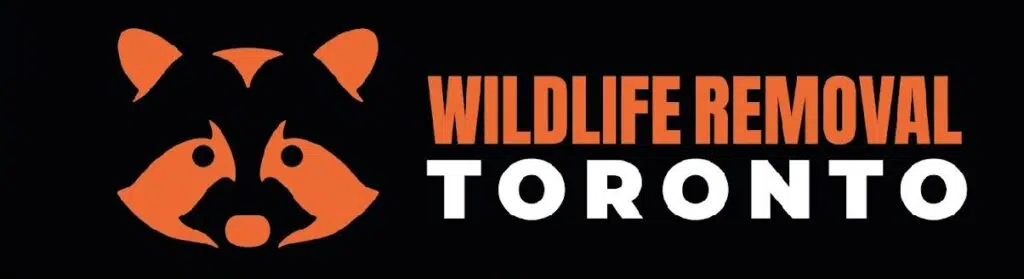 logo_footer_wildlife