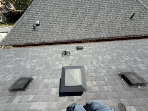 wire screen over attic vent