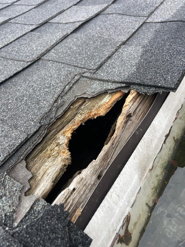 Attic-entry-inspection-York-Toronto