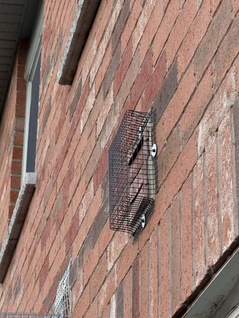 Wildlife exclusion mesh installed on a Brampton home vent