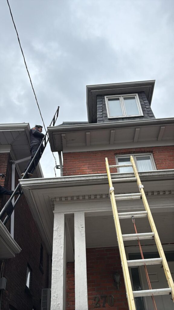 Wildlife control technician completing exclusion and sealing work on a residential property in Brampton