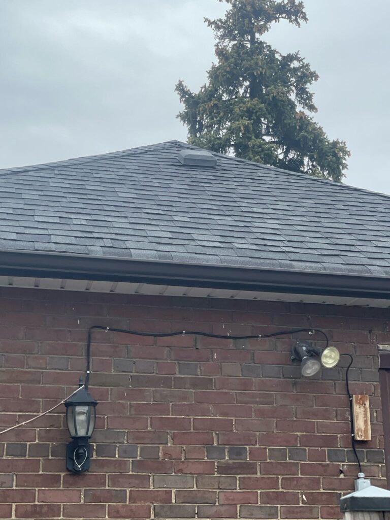 Coniferous tree branches overhanging a residential roofline in Thornhill